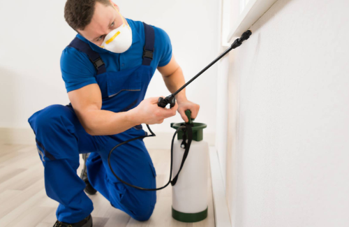 Pest Control Services in Taylor Ranch Albuquerque