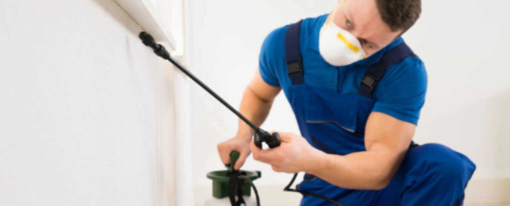Commercial Pest Control<br />
