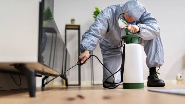 Termite Control<br />
