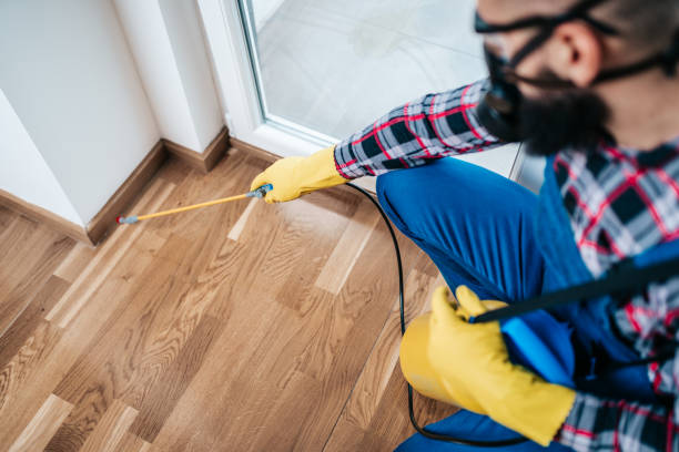 Residential pest control treatment inside a Rio Rancho home